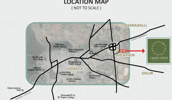Featured Image of Carpe Diem Location